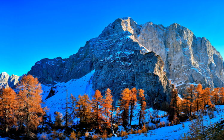 landscapes, Trees, Winter, Snow, Meadow, Sky HD Wallpaper Desktop Background