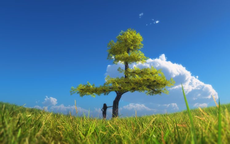 field, Tree, Sky, Landscape HD Wallpaper Desktop Background