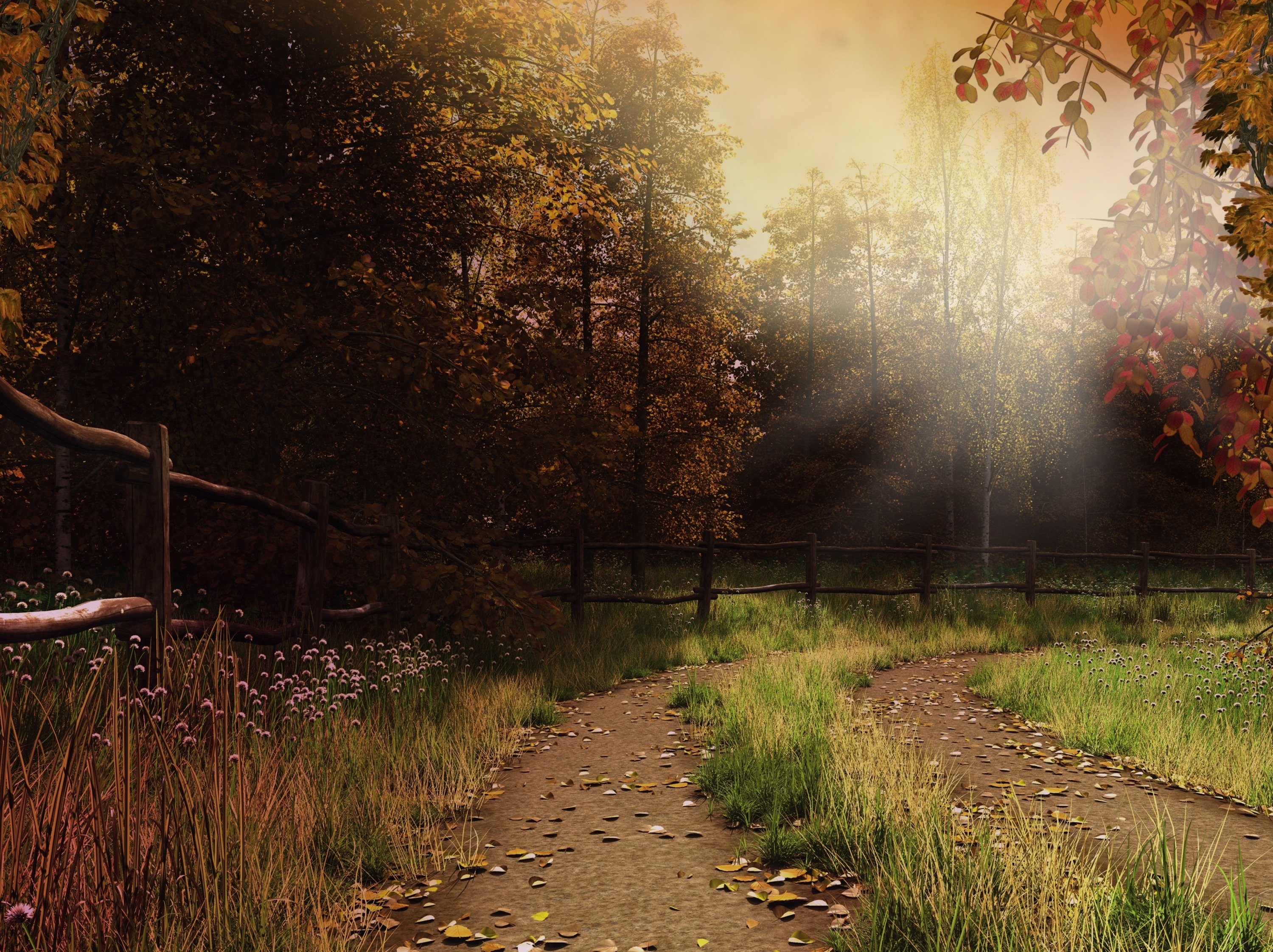 wood, Fence, Trail, Leaves, Grass, Autumn Wallpaper