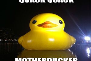 sadic, Duck