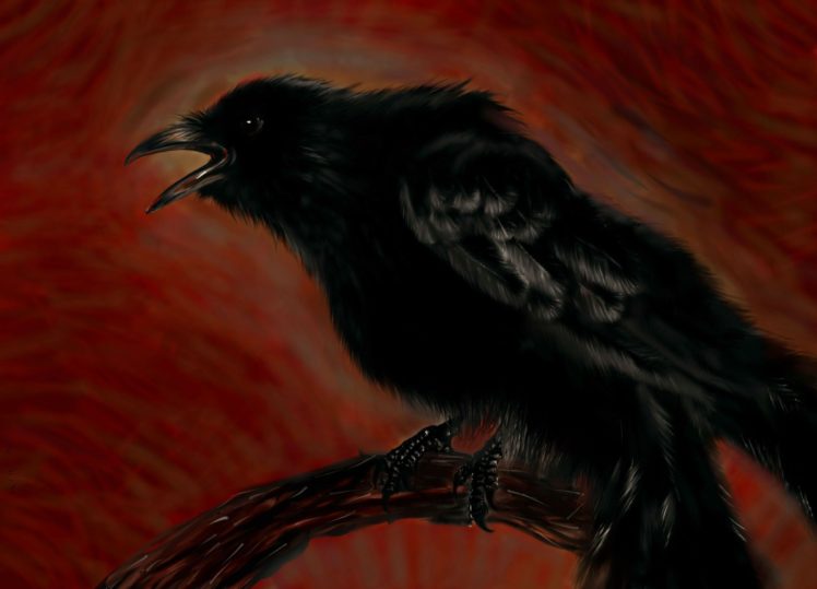 drawing, Crows, Branch HD Wallpaper Desktop Background