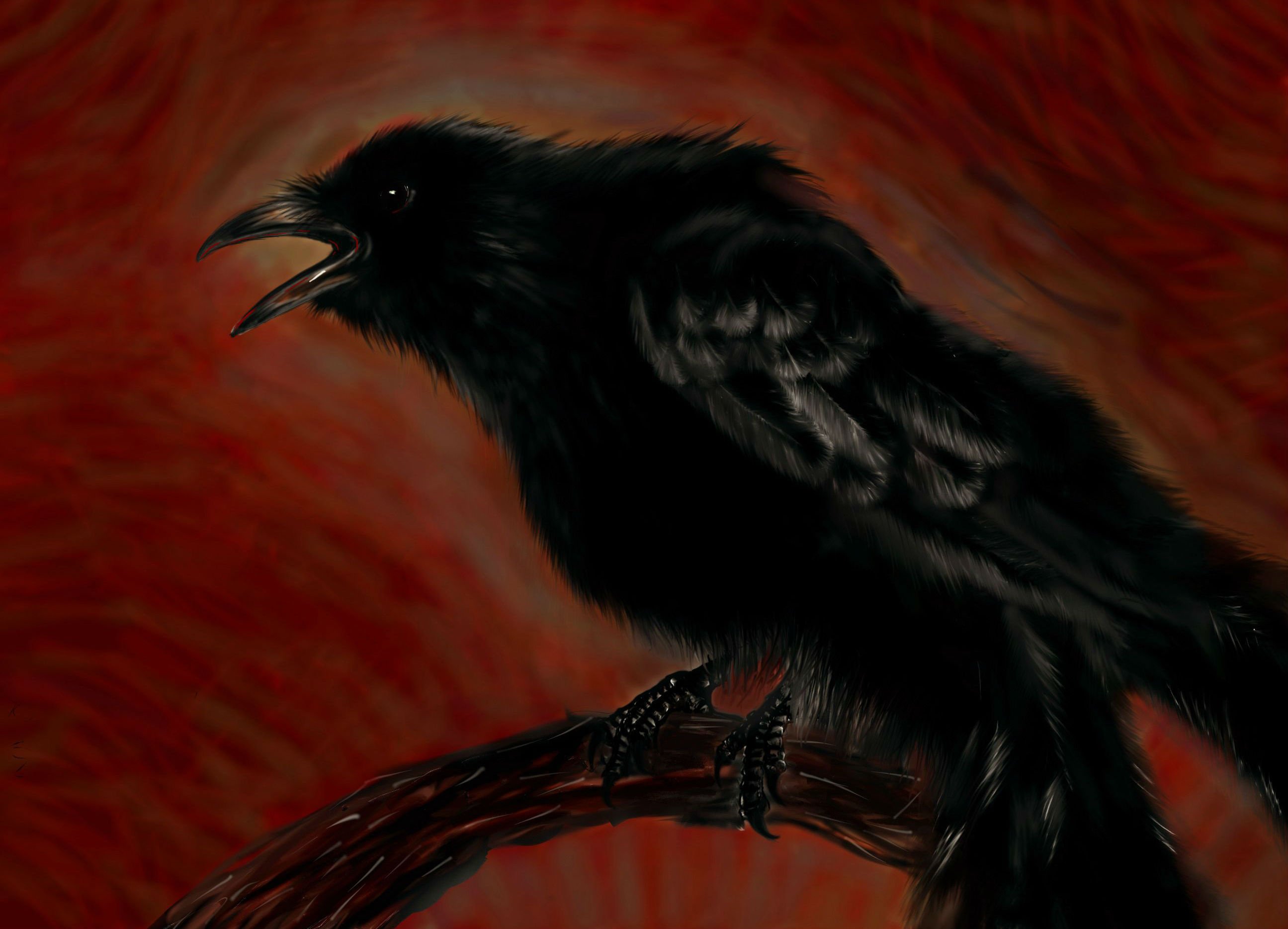 drawing, Crows, Branch Wallpaper