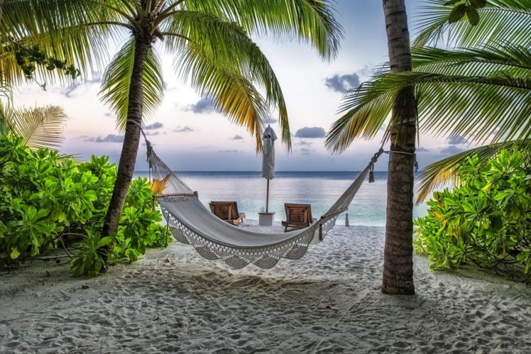 maldives, Beach, Hammock, Palm, Resort, Vacation, Summer HD Wallpaper Desktop Background