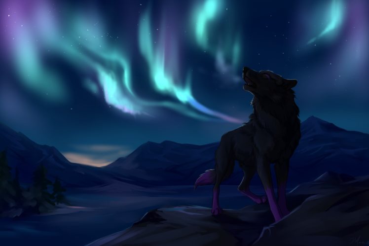 northern, Lights, Mountains, Wolves, Star, Wolf HD Wallpaper Desktop Background