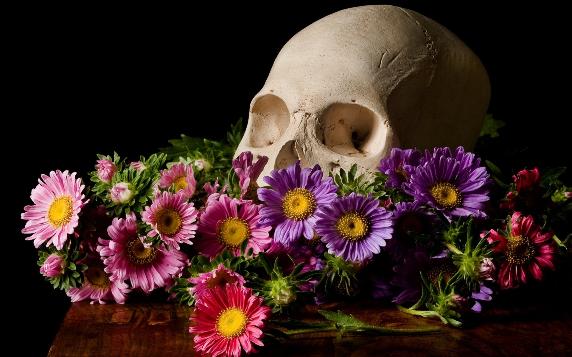 skull, Flowers, Black, Background Wallpaper