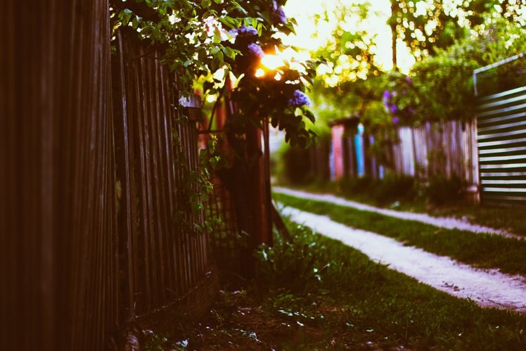 sunset, Fence, House, Grass, Leaves, Spring, Sun, Bokeh, Lilac HD Wallpaper Desktop Background