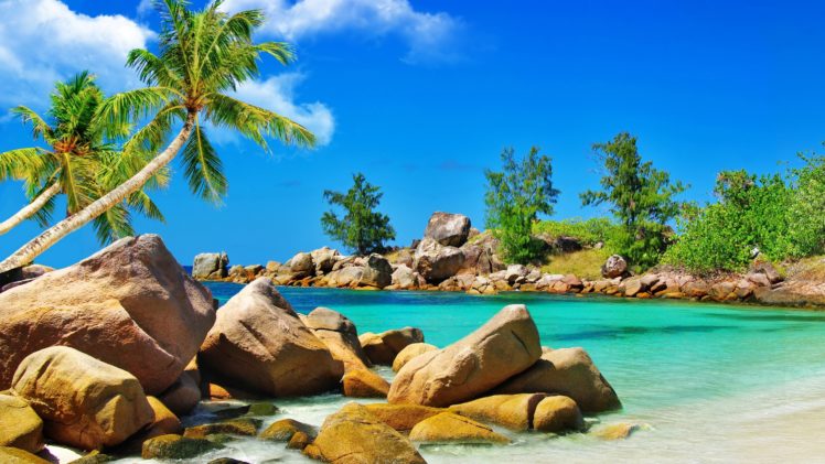scenery, Tropics, Coast, Stones, Palma, Nature HD Wallpaper Desktop Background