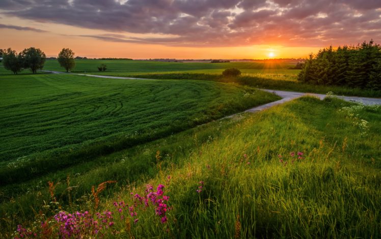 scenery, Sunrises, And, Sunsets, Fields, Grass, Nature HD Wallpaper Desktop Background