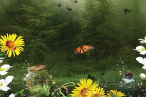 flowers, Forest, Butterfly, Bokeh, Lake, Bubbles, Creative, Fantasy