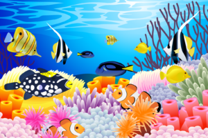 art, Vector, Underwater, Ocean, Sea, Color, Tropical, Coral, Reef