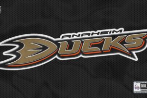 anaheim, Ducks, Nhl, Hockey,  11