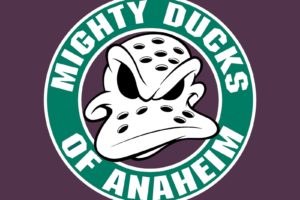 anaheim, Ducks, Nhl, Hockey,  13