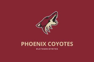 phoenix, Coyotes, Hockey, Nhl,  2