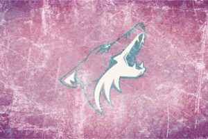 phoenix, Coyotes, Hockey, Nhl,  1