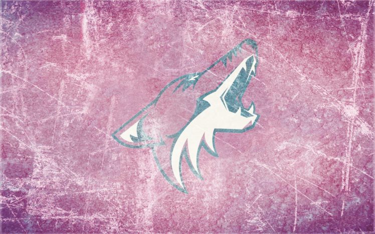 phoenix, Coyotes, Hockey, Nhl,  1 HD Wallpaper Desktop Background