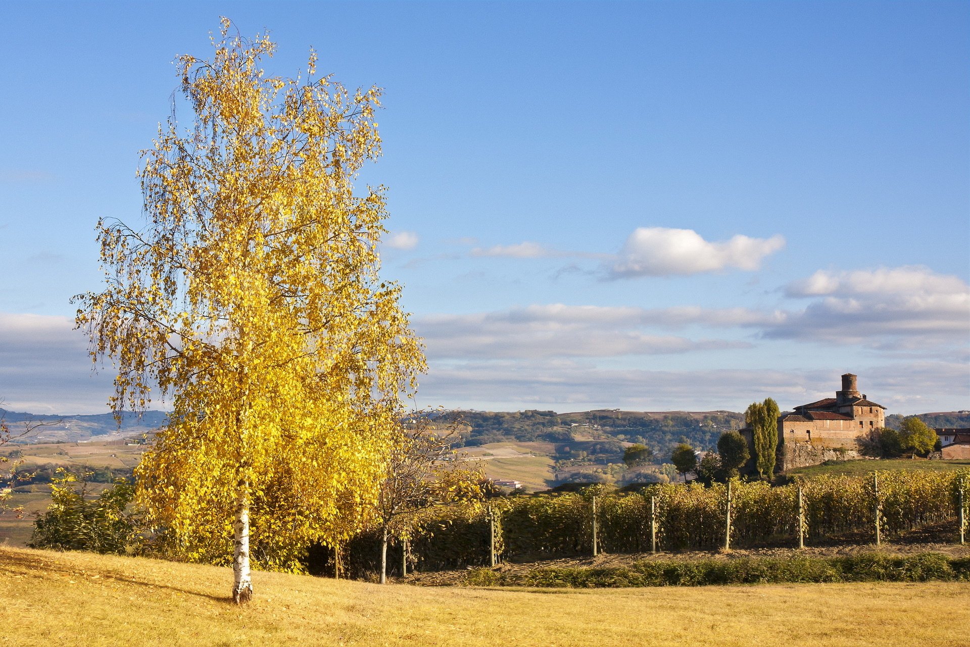 tree, Field, House, Landscape, Autumn, Castle Wallpaper
