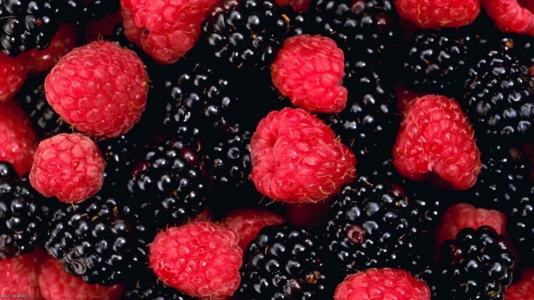 berries, Berry HD Wallpaper Desktop Background