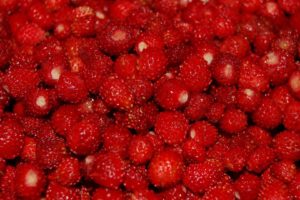 berries, Berry