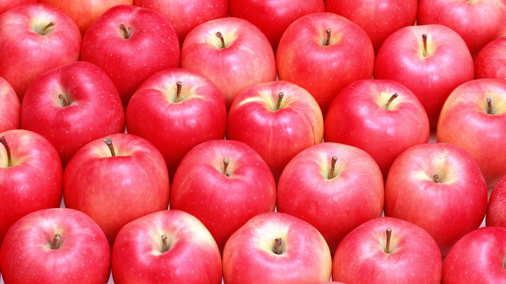 red, Apples, Apple Wallpaper