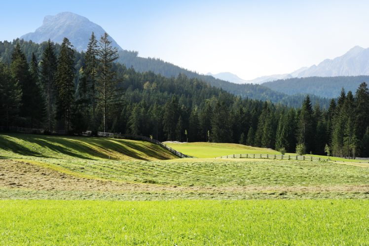 austria, Seefeld, Field, Mountains, Forest HD Wallpaper Desktop Background