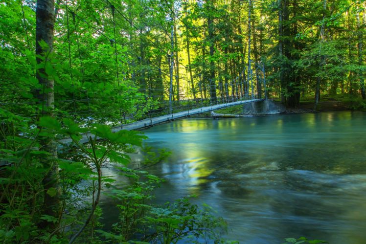 forest, Nature, Photo, Summer, Bridge, River HD Wallpaper Desktop Background
