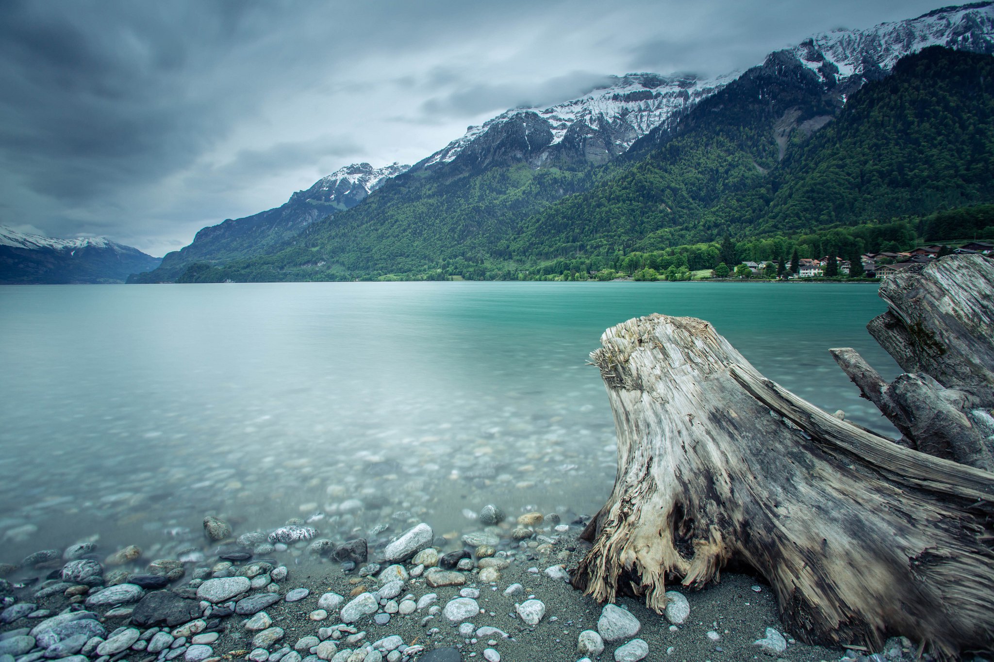 forest, Switzerland, Lake, Mountains Wallpaper