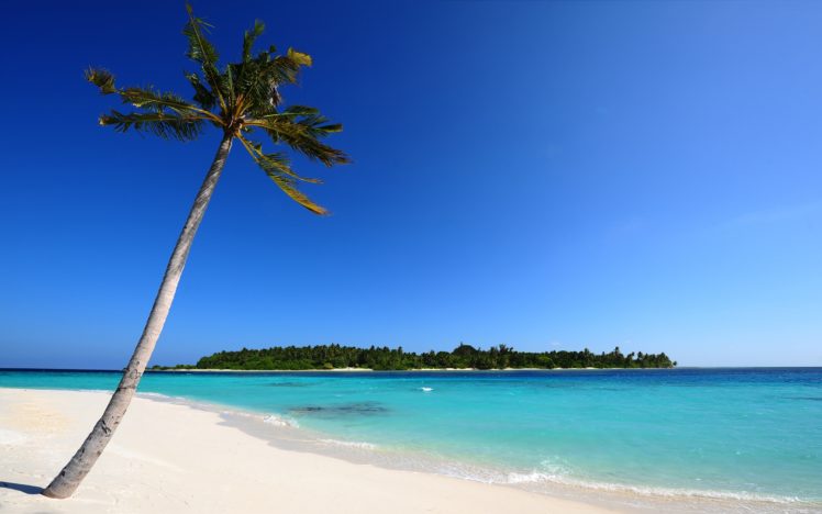 maldivian, Beach HD Wallpaper Desktop Background