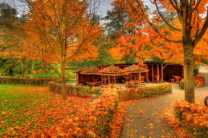 landscapes, Autumn, Fall, Color