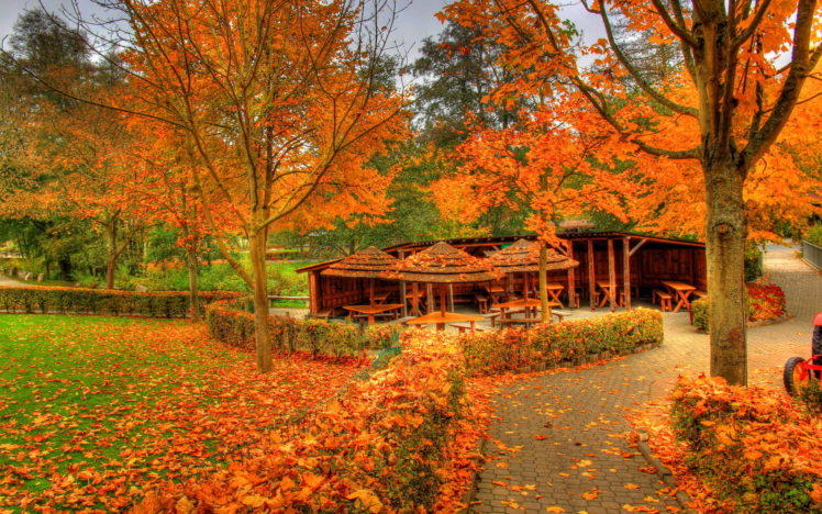 landscapes, Autumn, Fall, Color HD Wallpaper Desktop Background