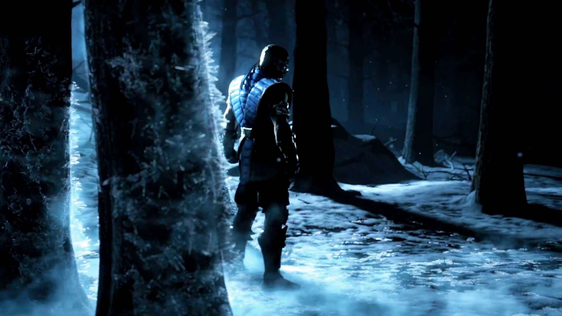 mortal, Kombat, X, Fighting, Fantasy, Warrior, Action,  11 Wallpaper