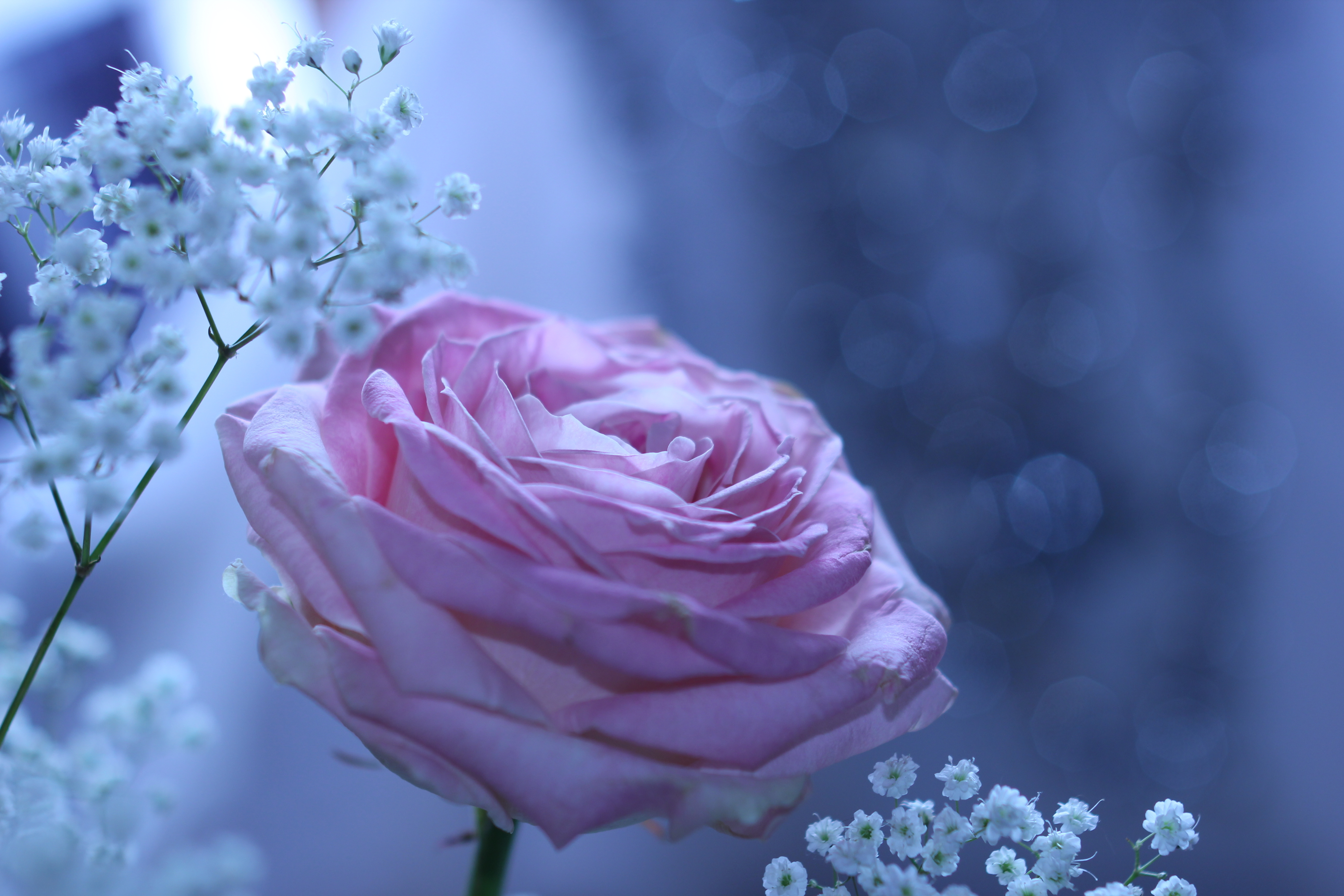 37669 Wallpaper