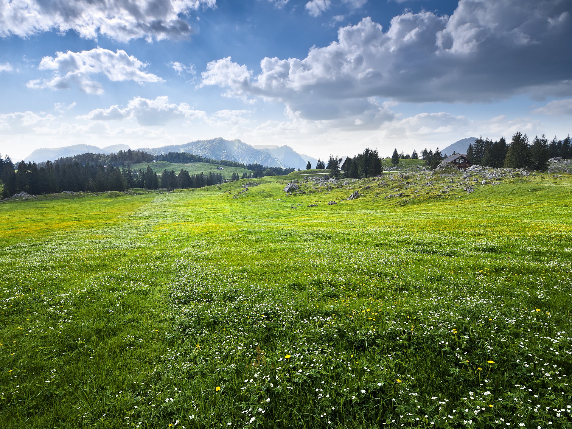 appenzellerland, Switzerland, Field, Sky, Mountains, Landscape Wallpaper