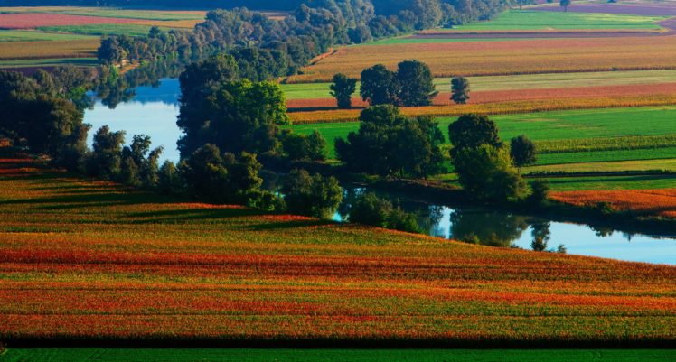 nature, River, Summer, Field HD Wallpaper Desktop Background
