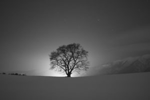 landscapes, Winter, Snow, Night, Silhouette, Sky