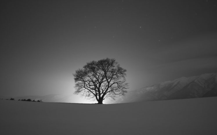 landscapes, Winter, Snow, Night, Silhouette, Sky HD Wallpaper Desktop Background