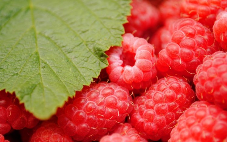 raspberry, Fruit, Food, Berry, Leaves HD Wallpaper Desktop Background