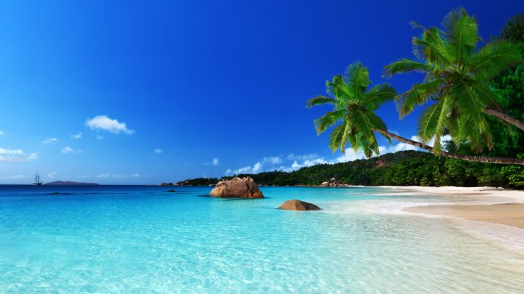 tropical, Paradise, Beach, Ocean, Sea, Palm, Summer, Coast HD Wallpaper Desktop Background