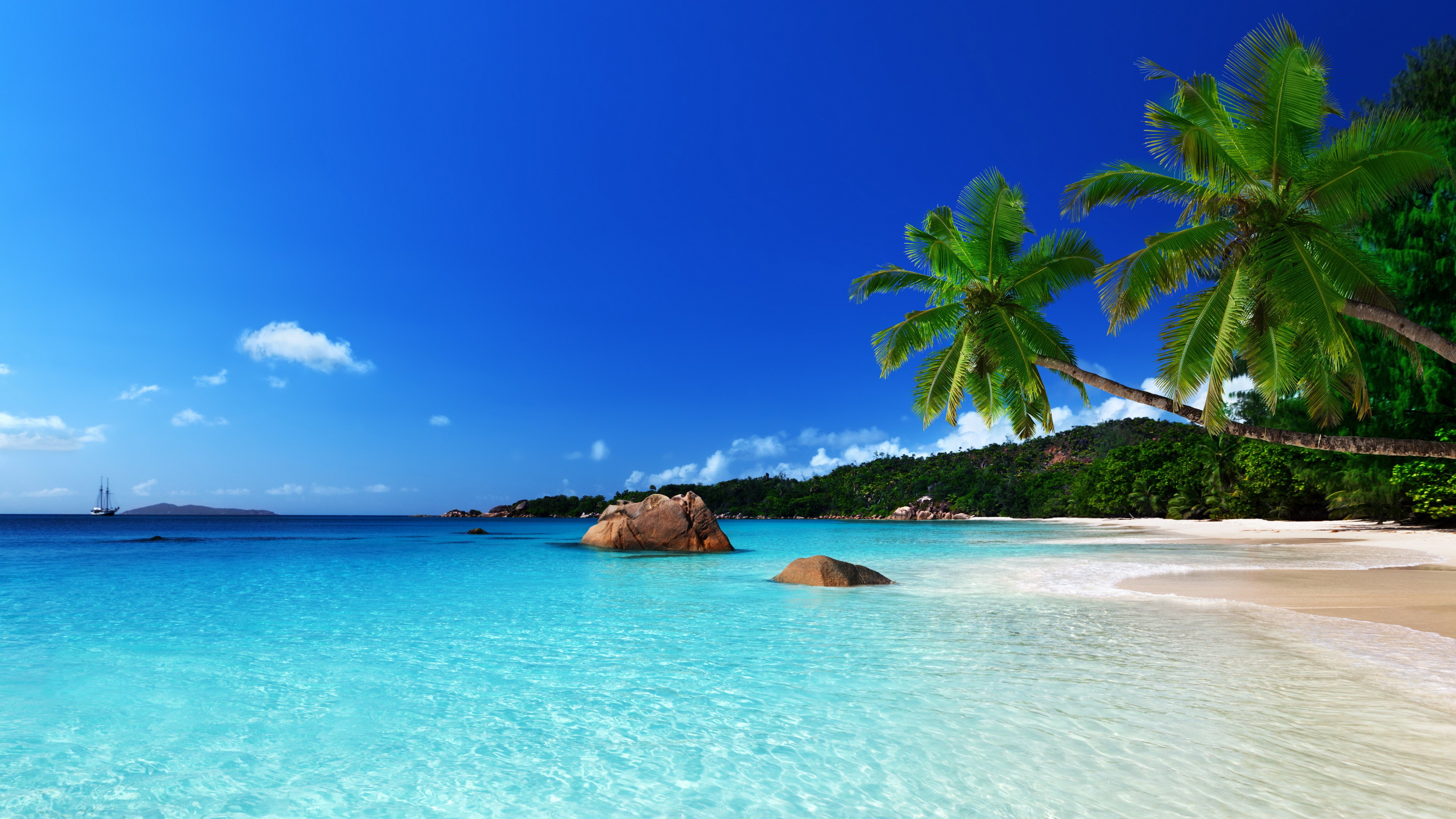 tropical, Paradise, Beach, Ocean, Sea, Palm, Summer, Coast Wallpaper