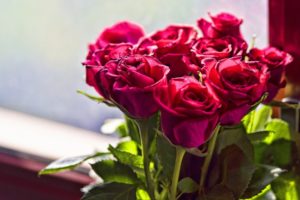 roses, Bouquet, Valentineand039s, Day