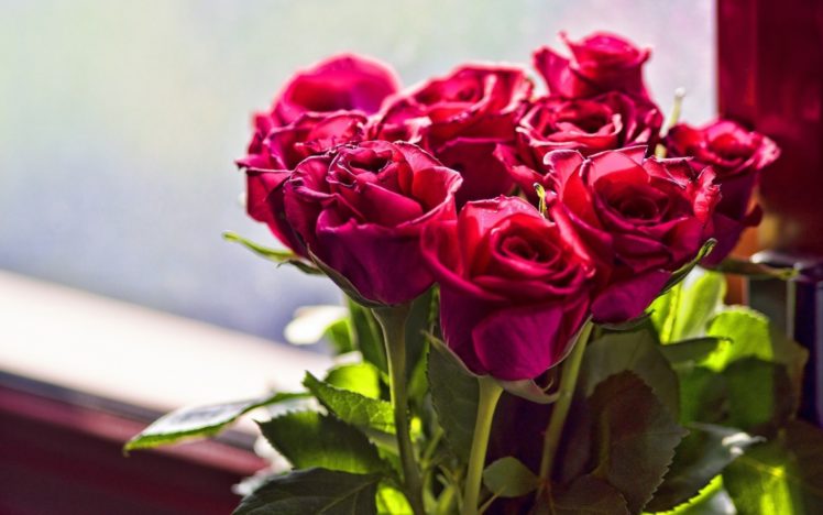 roses, Bouquet, Valentineand039s, Day HD Wallpaper Desktop Background