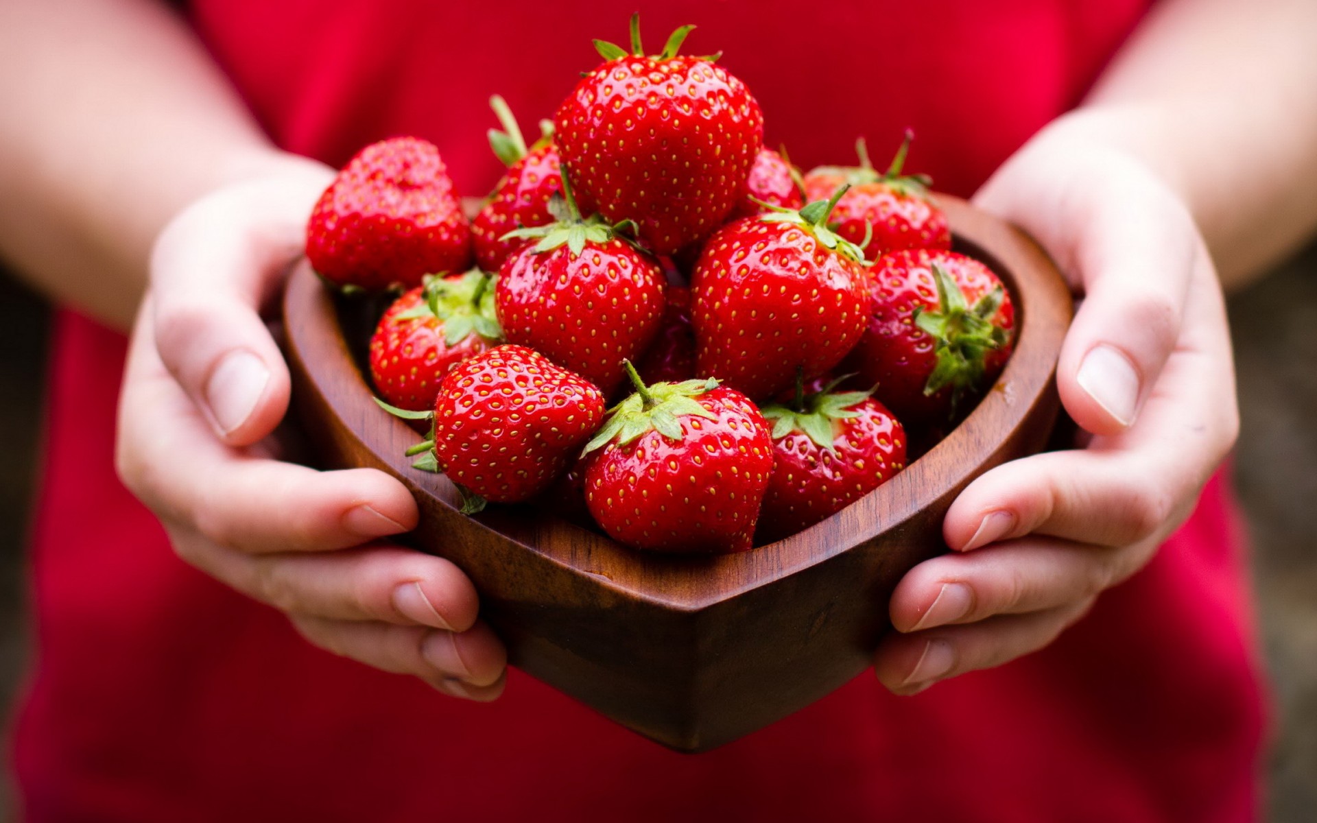 strawberries, Fruit, Still, Life, Red, Berry, Hands Wallpaper
