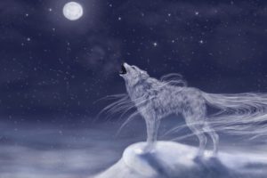 magical, Animals, Wolves, Moon, Fantasy, Wolf, Dream, Mood