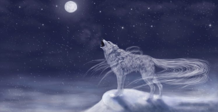 magical, Animals, Wolves, Moon, Fantasy, Wolf, Dream, Mood HD Wallpaper Desktop Background