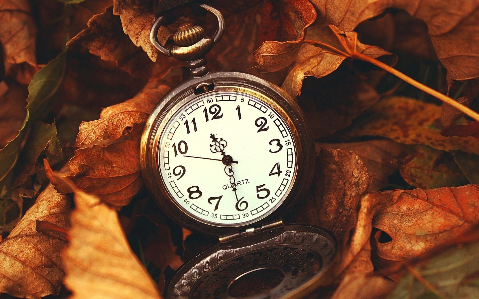 pocket, Watch, Time, Clock, Bokeh Wallpaper