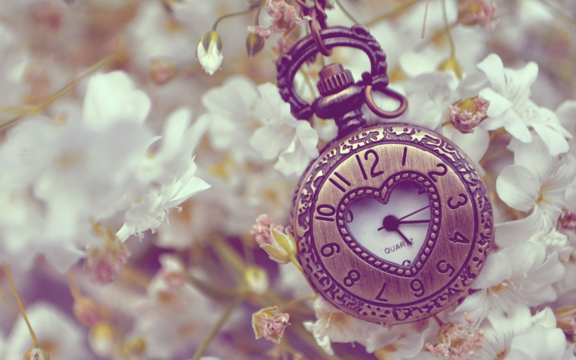 pocket, Watch, Time, Clock, Bokeh Wallpaper