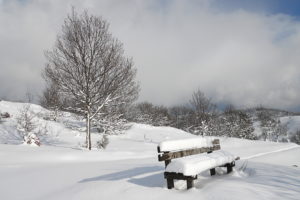 bench, Nature, Landscapes, Winter, Snow, Trees, Sky, Clouds