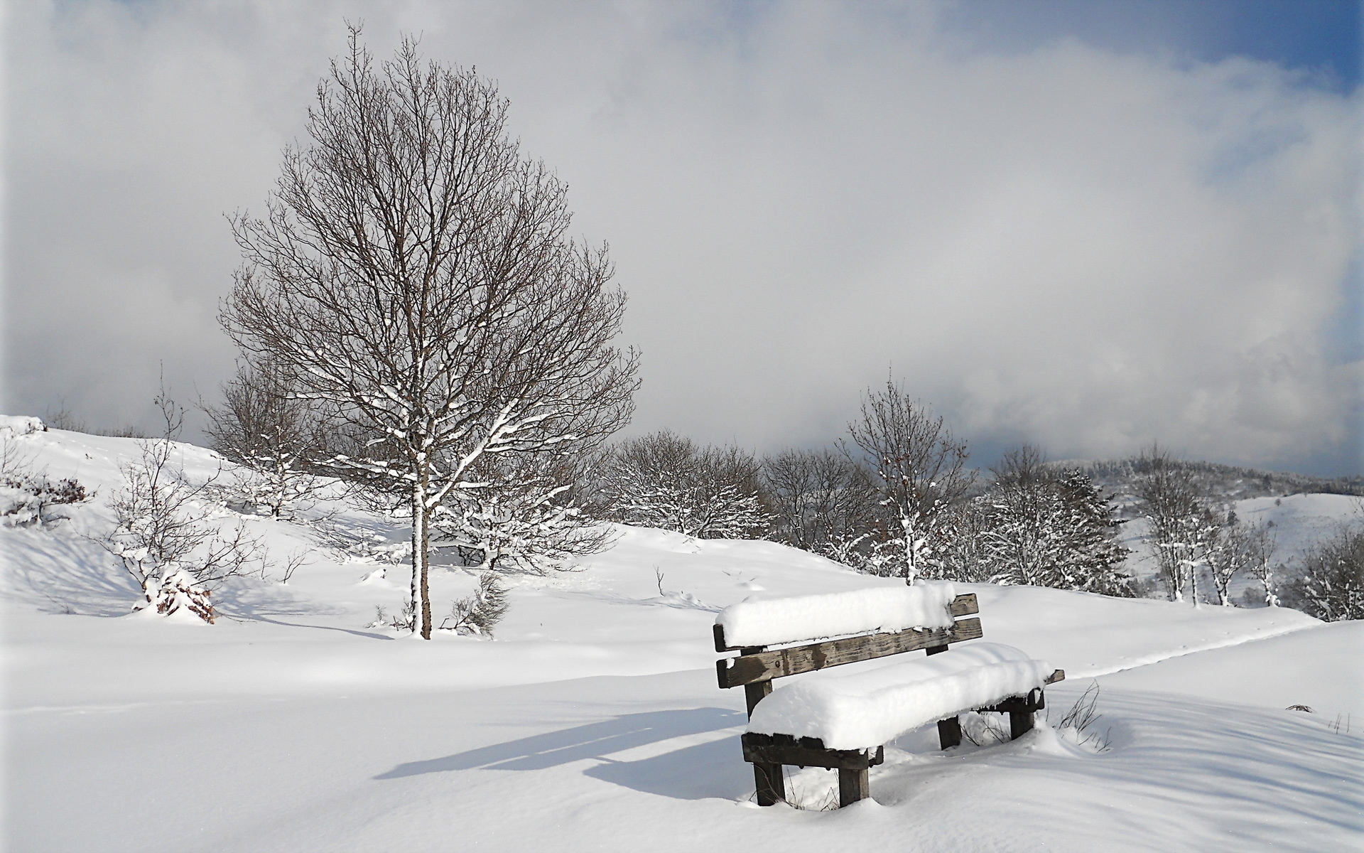 bench, Nature, Landscapes, Winter, Snow, Trees, Sky, Clouds Wallpaper