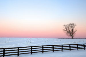 fence, Nature, Landscapes, Winter, Snow, Trees, Sky, Sunset, Sunrise