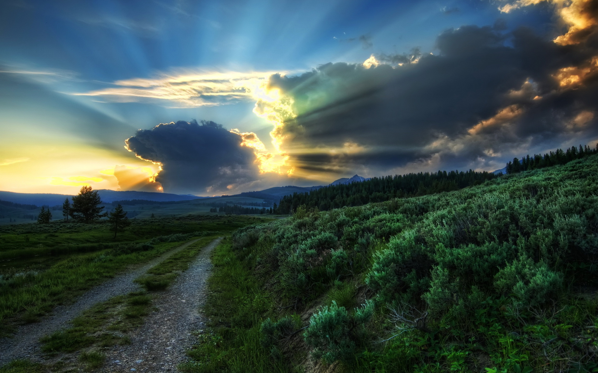 plants, Nature, Landscapes, Roads, Trees, Sky, Sunset, Sunrise, Clouds, Hdr, Sunlight, Beams, Rays Wallpaper