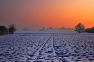 color, Nature, Landscapes, Fields, Trees, Winter, Snow, Sky, Sunset, Sunrise
